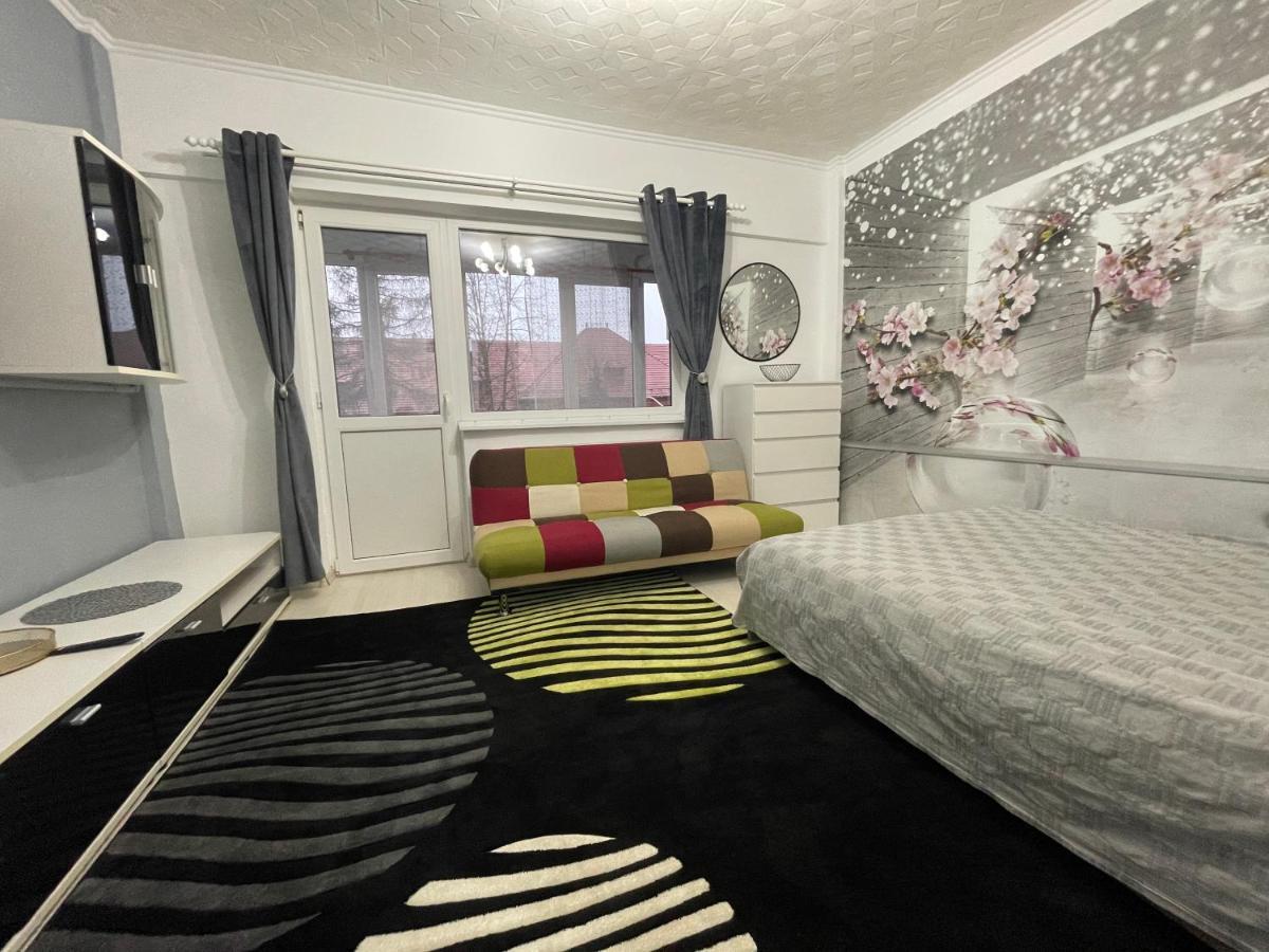 Central Colors Studio Petroszany Zewnętrze zdjęcie